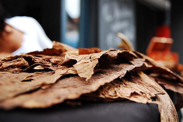 Kratom má opravdu mnoho podob. 